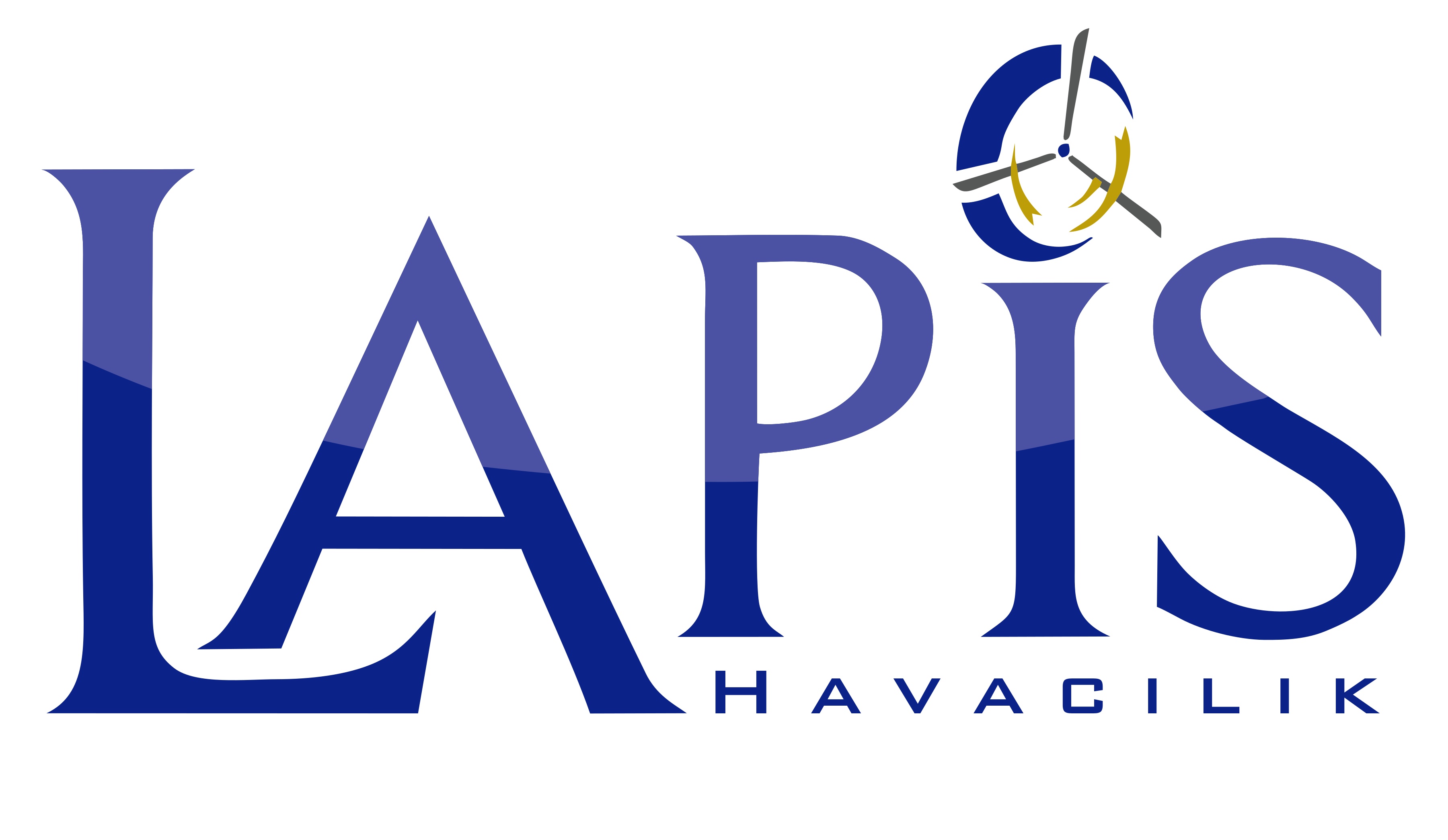 LAPİS Logosu